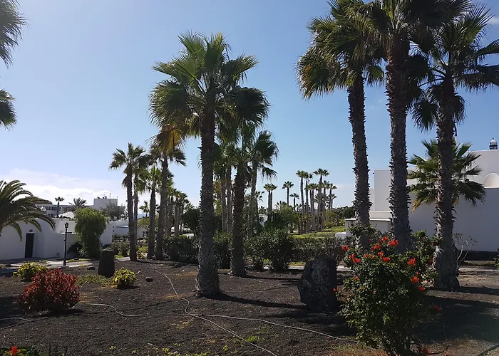 Apartamento Palmeras Garden