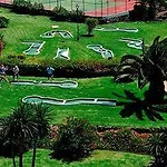 Palmeras Garden Apartment