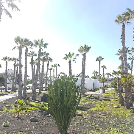 Palmeras Garden * بلايا بلانكا