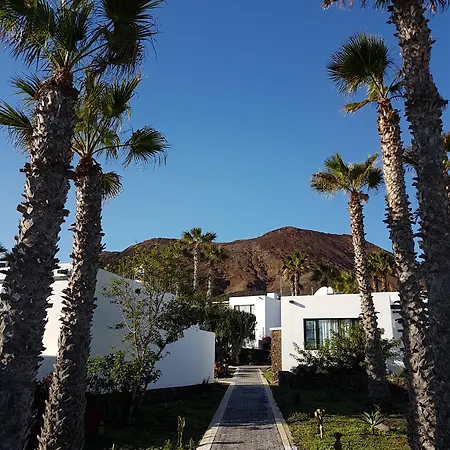 Palmeras Garden Apartment