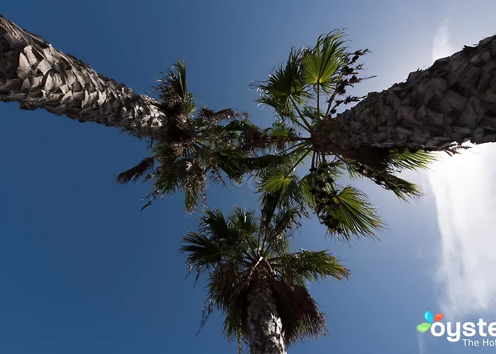 Palmeras Garden Playa Blanca