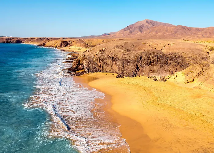 Daire Palmeras Garden *