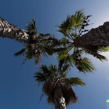 Palmeras Garden Playa Blanca